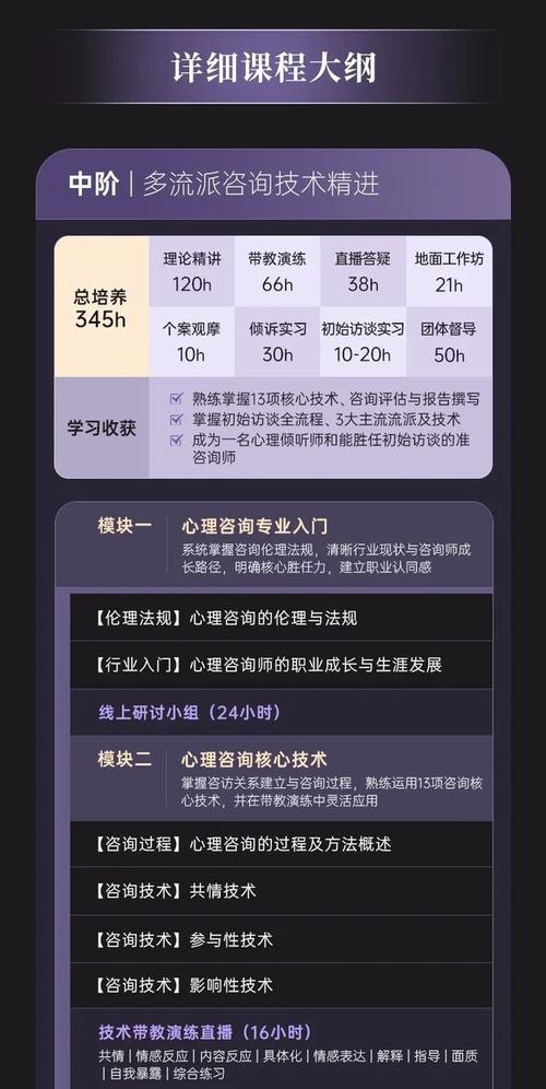 中阶&middot;多流派咨询技术精进