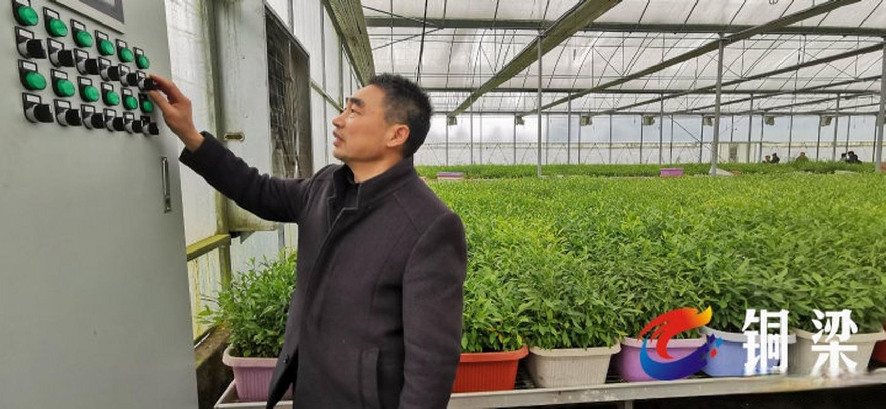 陈贵虎获聘市级农业产业化协会科学技术咨询专家】4月16日,铜梁成王